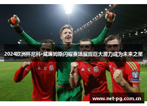 2024欧洲杯尼科·威廉姆斯闪耀赛场展现巨大潜力成为未来之星