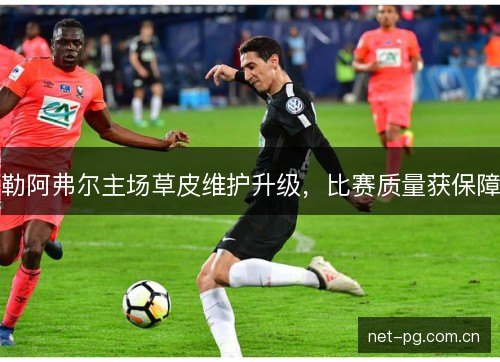 勒阿弗尔主场草皮维护升级,比赛质量获保障 勒阿弗尔主场草皮维护升级,比赛质量获保障